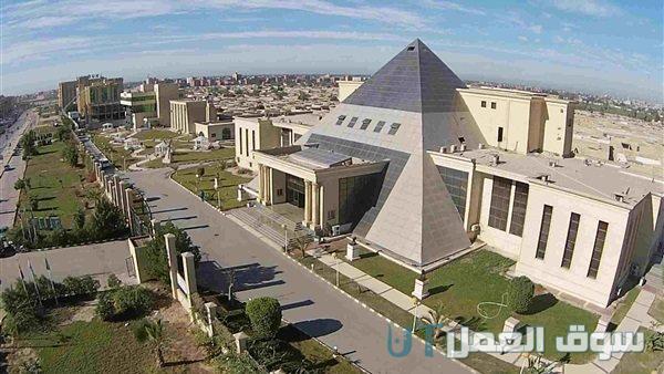 تخصصات جامعة النهضة