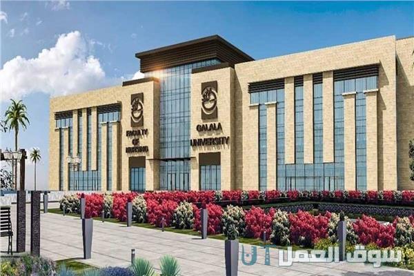 تخصصات جامعة الجلالة