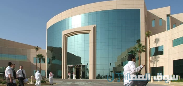 افضل 10 كليات في السعودية