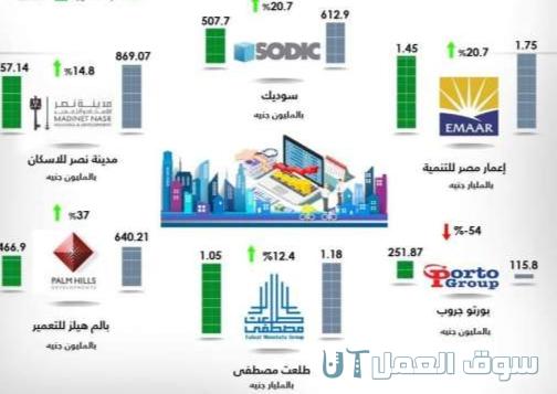 أكثر الشركات ربحا في مصر
