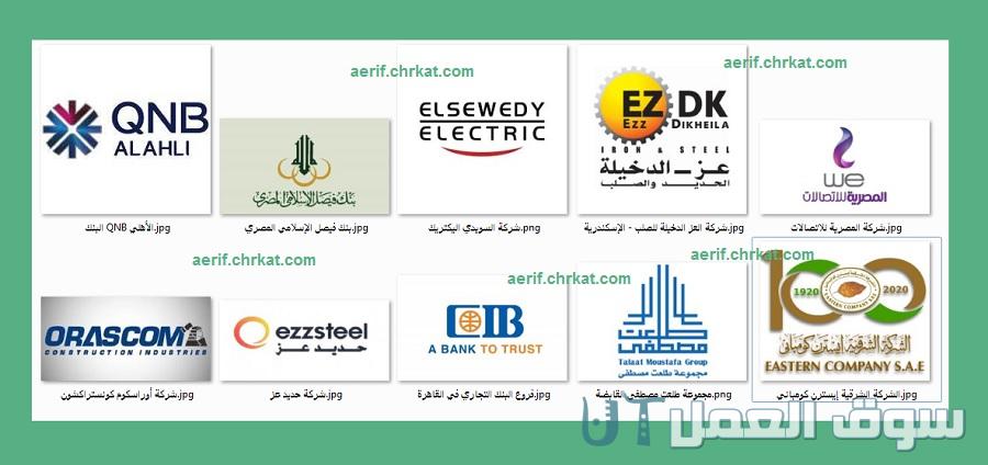أكبر الشركات الصناعية في مصر