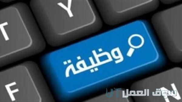 أفضل وظائف شركات اجنبيه في مصر